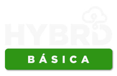 Hybrid Basic