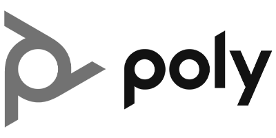 Poly-Logo